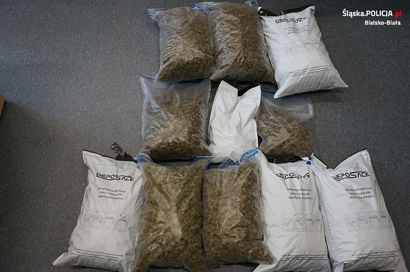 Znaleziono 10 kg marihuany i 200 tabletek ecstasy na jednym z bielskich osiedli
